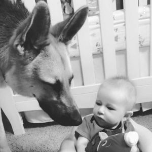 Meet your Posher, Drew